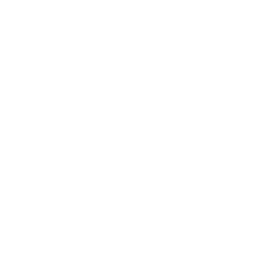 Aviatrix
